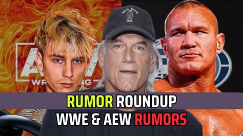 rumor roundup|wrestling rumors and spoilers.